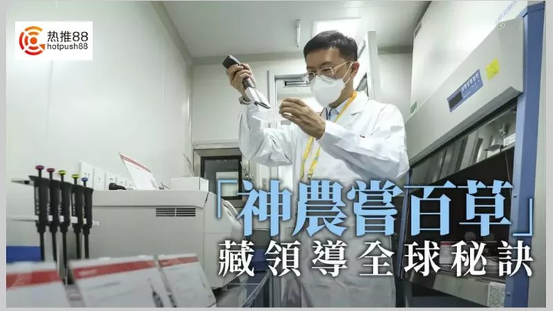 PCR检测中Ct值30以上：弱阳性的标准解读