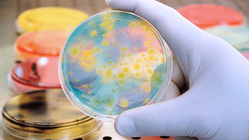 国产生物制品价格表：揭秘背后的市场逻辑**