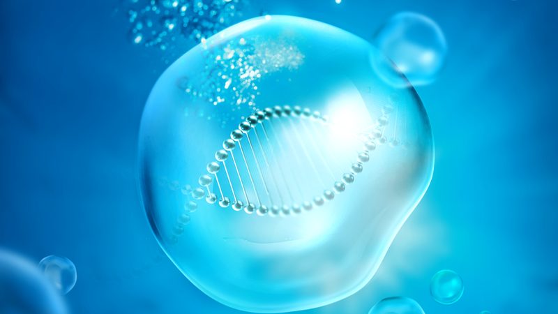 移液器吸头，如何选择高品质的“隐形”伙伴**