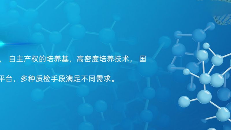 饲料复合酶定制生产的五大关键参数解析**