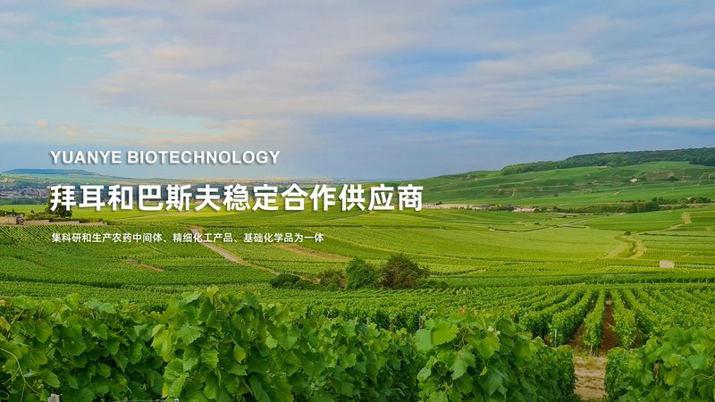 生物医药产业园招商代理：如何找到最合适的合作伙伴