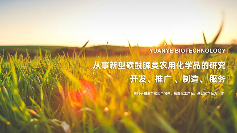 移液器量程规格，如何准确解读与选择**