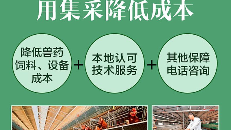 细胞培养基冷冻保存：关键步骤与注意事项**