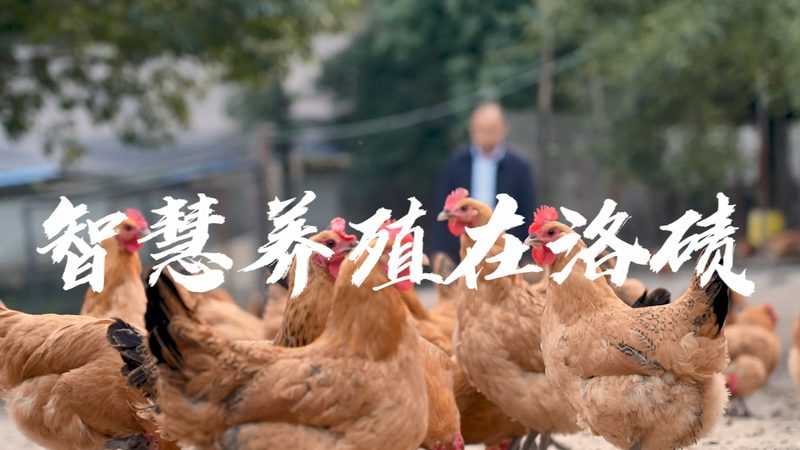 离心管，那些不为人知的秘密**